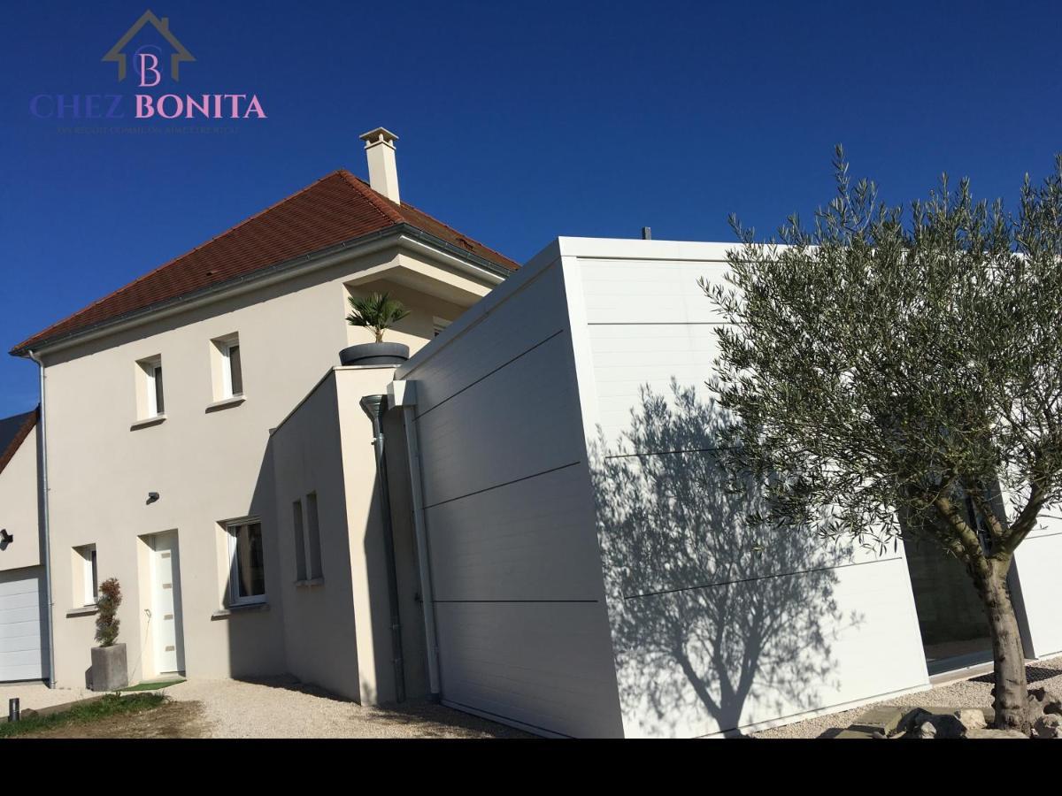 Hotel Chez Bonita Chouzy-sur-Cisse Exteriér fotografie